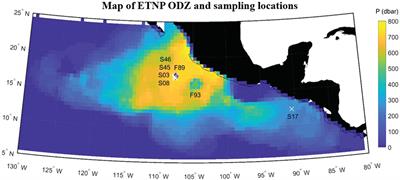 Autonomous observations of biogenic N2 in the Eastern Tropical North Pacific using profiling floats equipped with gas tension devices